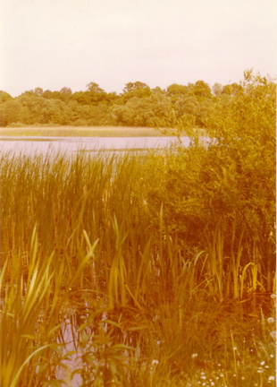 Groscherteich